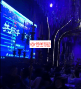 法国莉兹女爵