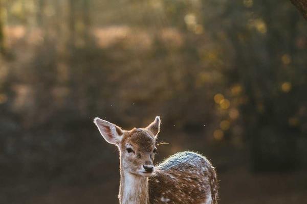 能源资源